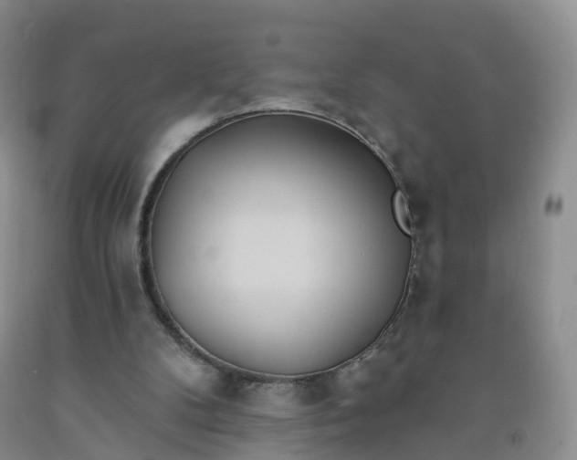 X0000091970104200709201414