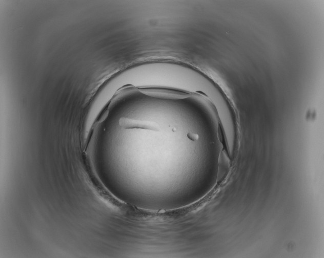 X0000091970105200709201414