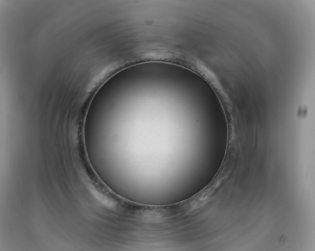 X0000091970106200709201414