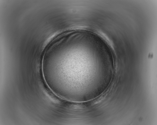 X0000091970107200709201413