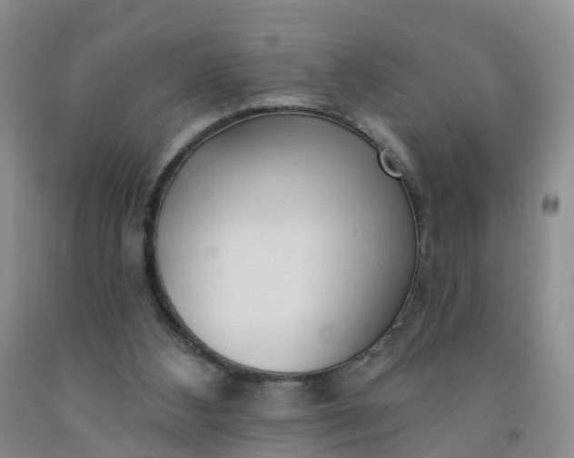 X0000091970108200709201413