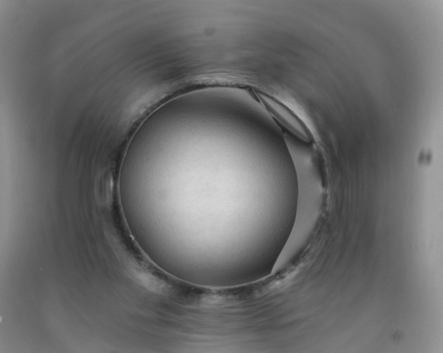 X0000091970109200709201413