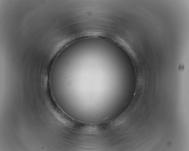 X0000091970110200709201413