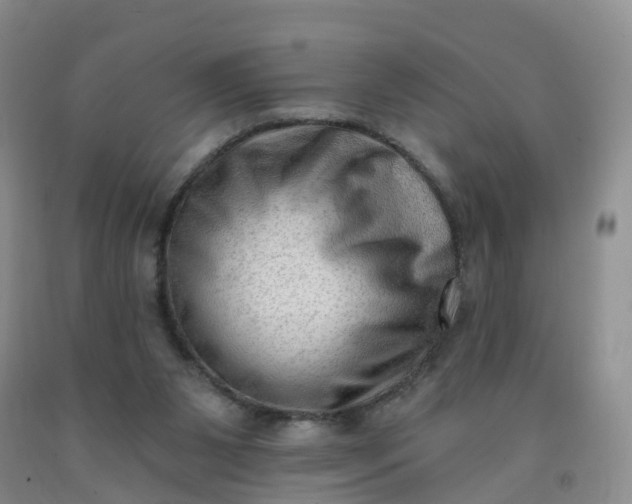 X0000091970111200709201413