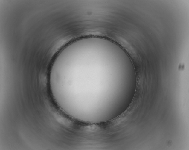 X0000091970112200709201413