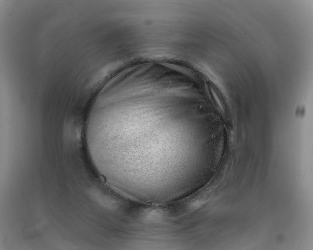 X0000091970115200709201413