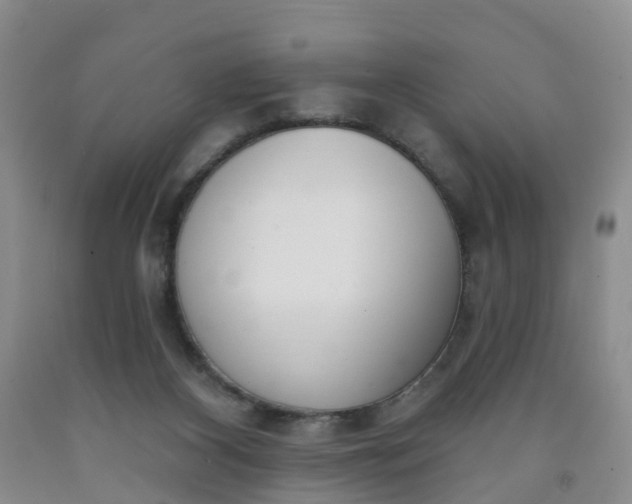 X0000091970116200709201413