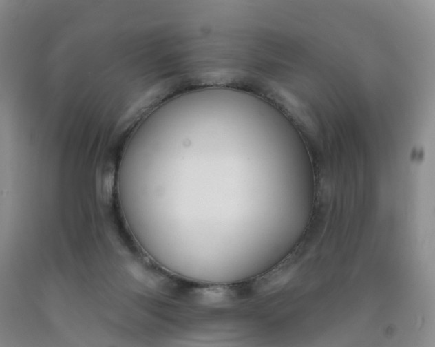 X0000091970118200709201413
