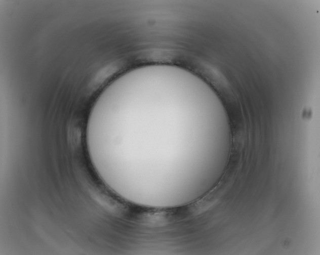 X0000091970120200709201413