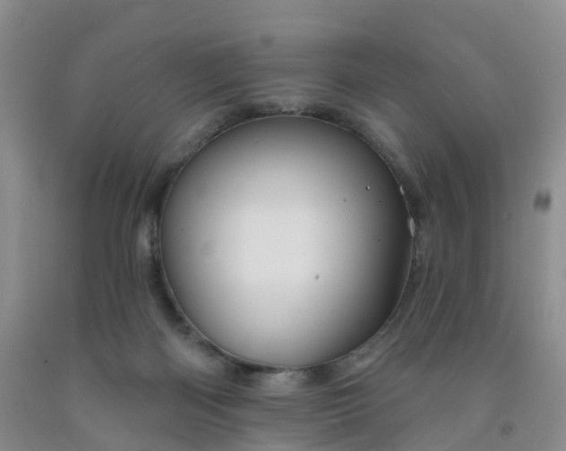X0000091970122200709201413