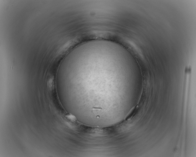 X0000091970123200709201413
