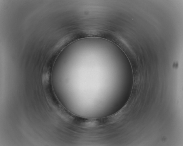 X0000091970124200709201413