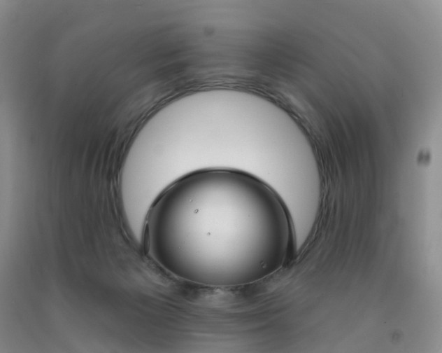 X0000091970125200709201413