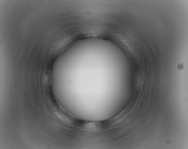 X0000091970126200709201413