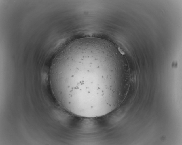 X0000091970127200709201413
