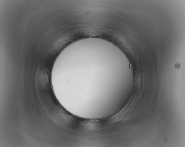 X0000091970128200709201413
