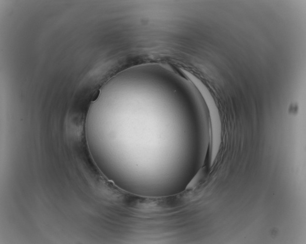 X0000091970129200709201413