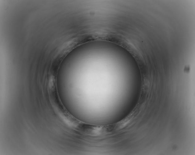 X0000091970130200709201413