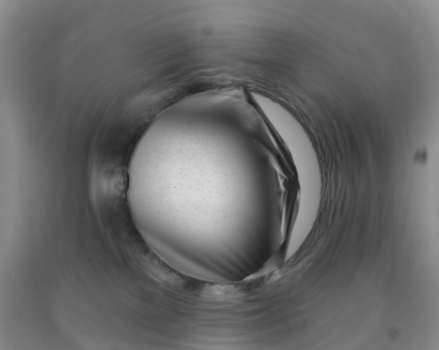 X0000091970137200709201413