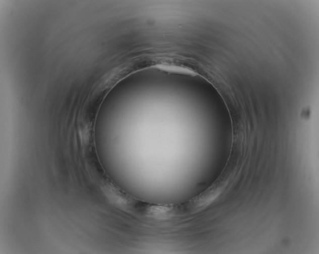 X0000091970139200709201413