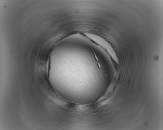 X0000091970141200709201413
