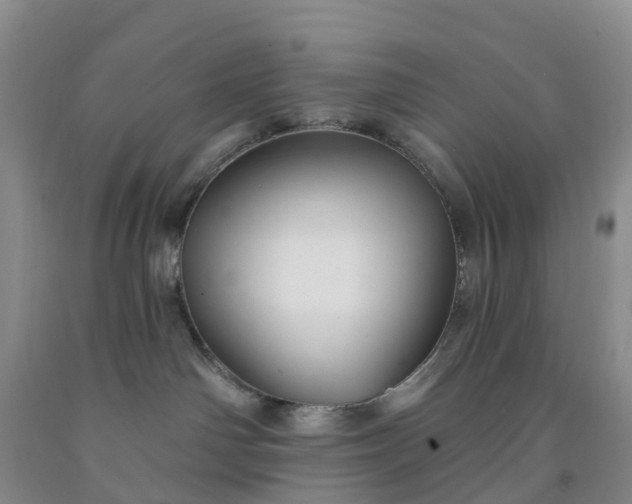 X0000091970142200709201413