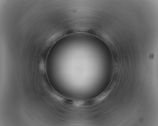 X0000091970143200709201413