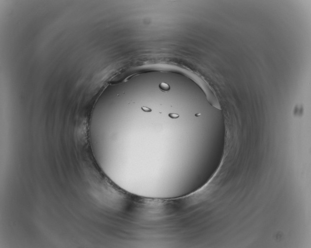 X0000091970144200709201413
