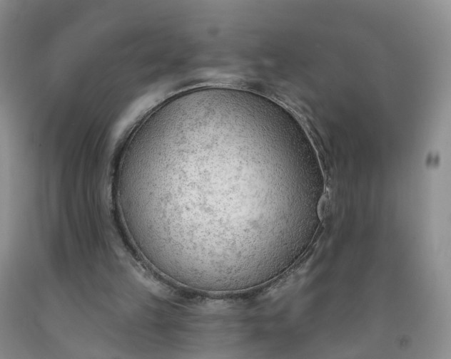 X0000091970149200709201412