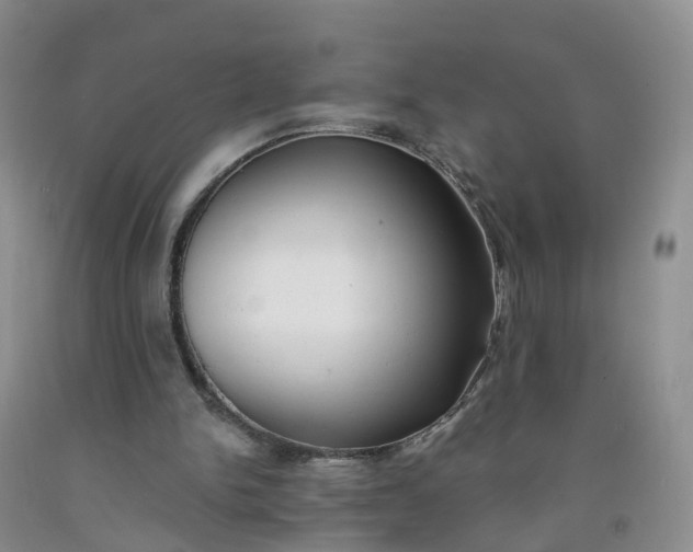 X0000091970150200709201413