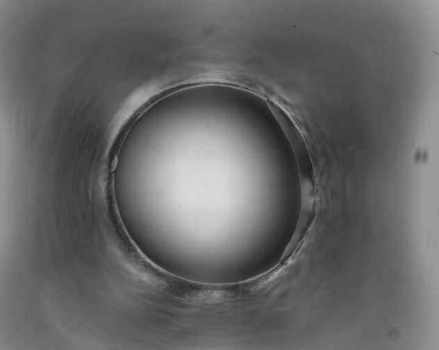 X0000091970152200709201413