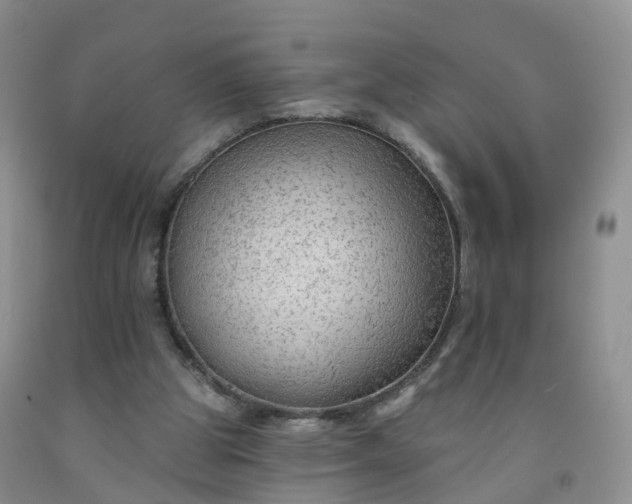 X0000091970153200709201413