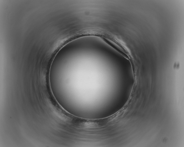 X0000091970154200709201413