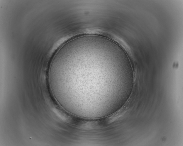 X0000091970155200709201413