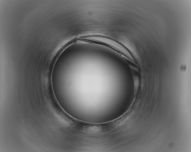 X0000091970156200709201413