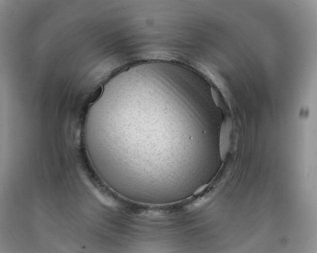 X0000091970157200709201413