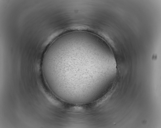 X0000091970159200709201413