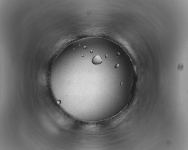X0000091970161200709201413
