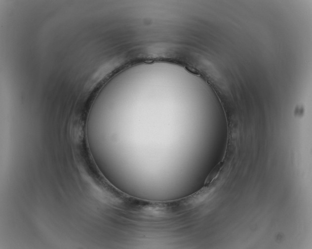 X0000091970164200709201413