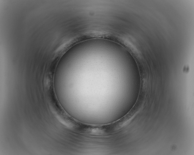 X0000091970165200709201413