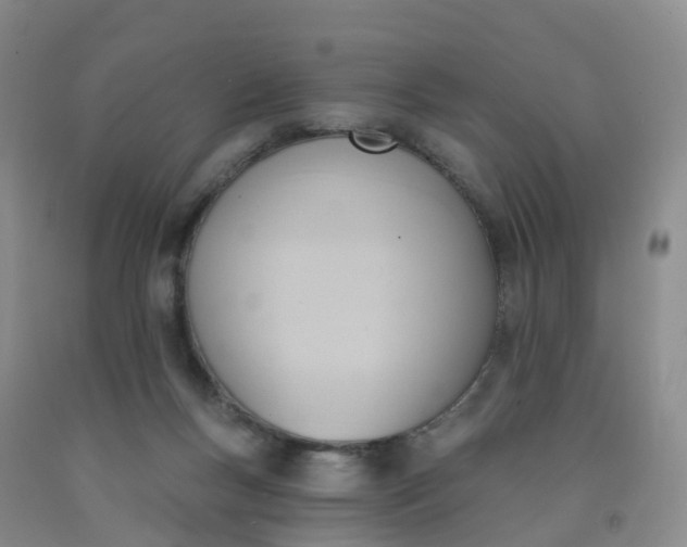 X0000091970167200709201413