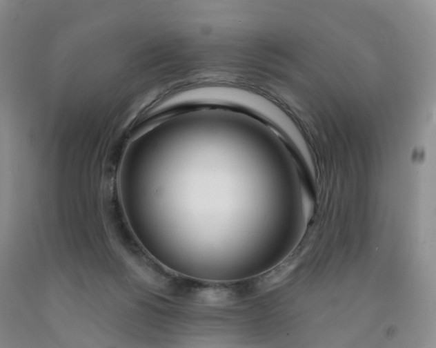 X0000091970168200709201413