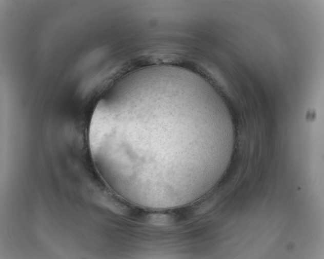 X0000091970169200709201413