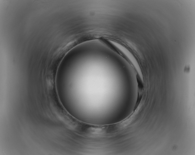 X0000091970170200709201413