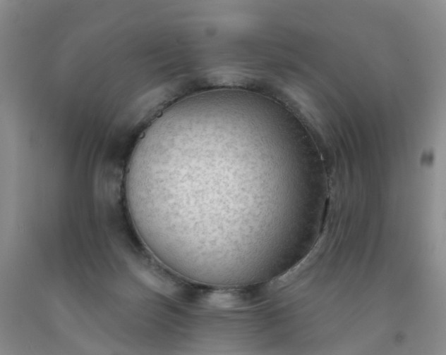 X0000091970171200709201413
