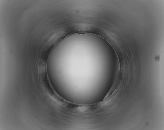 X0000091970172200709201413