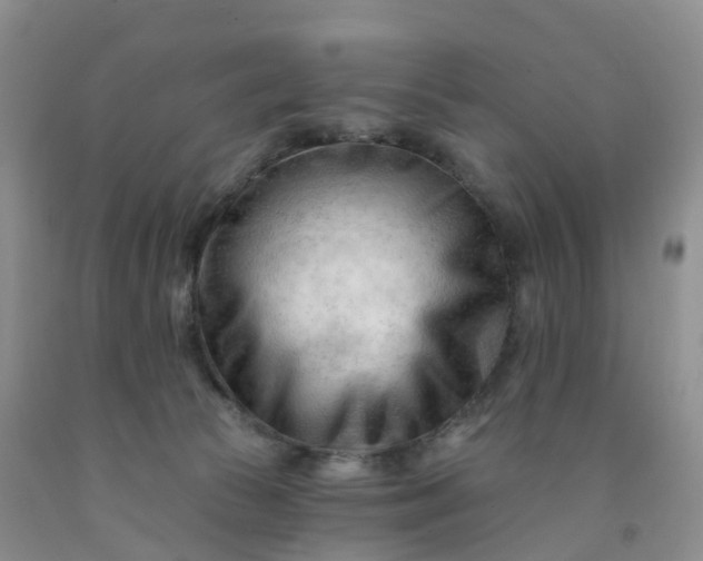 X0000091970177200709201413