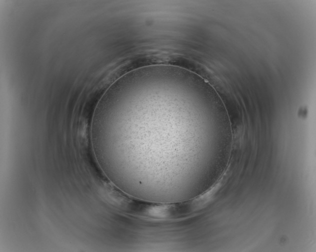 X0000091970178200709201413