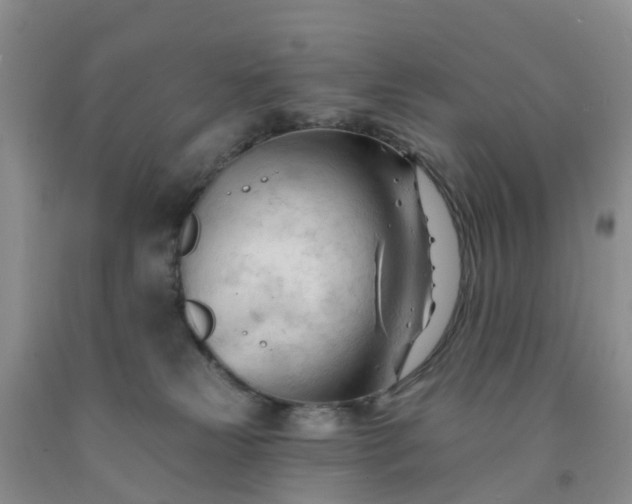 X0000091970181200709201413
