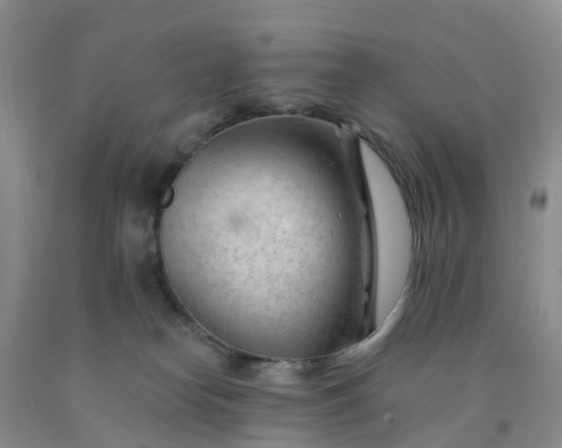 X0000091970182200709201413